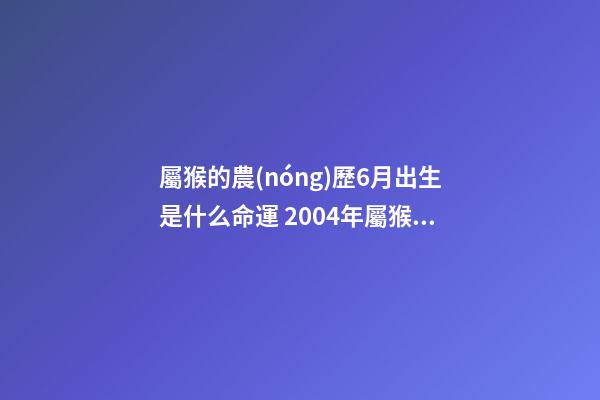 屬猴的農(nóng)歷6月出生是什么命運 2004年屬猴男六月初七一生命運怎么樣-第1張-觀點-玄機派